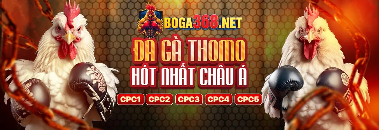 Sòng bạc trực tuyến New88bet Nhà Cái sang trọng và hiện đại