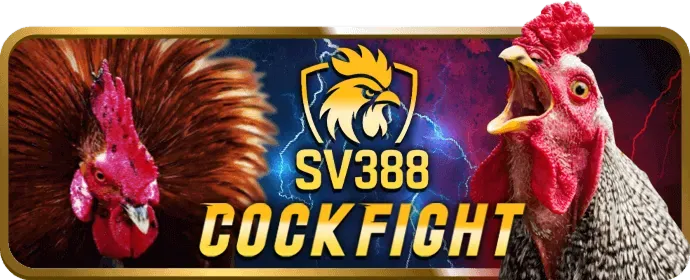 Đồ họa sắc nét New88bet